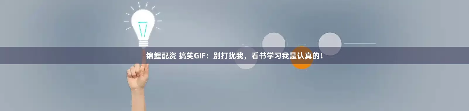 锦鲤配资 搞笑GIF：别打扰我，看书学习我是认真的！